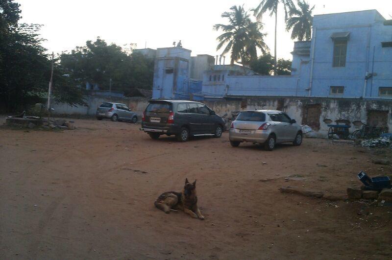 Dolphin Hotel Dindigul Luaran gambar